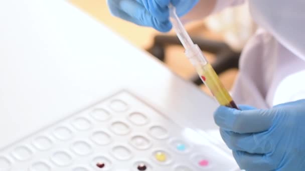 Laboratorium bakteriologiczne lub genetyczne w gumowych rękawiczkach wykonuje badania krwi — Wideo stockowe