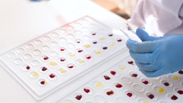 化验室工作人员对血型和Rh因子的定义进行了研究. — 图库视频影像