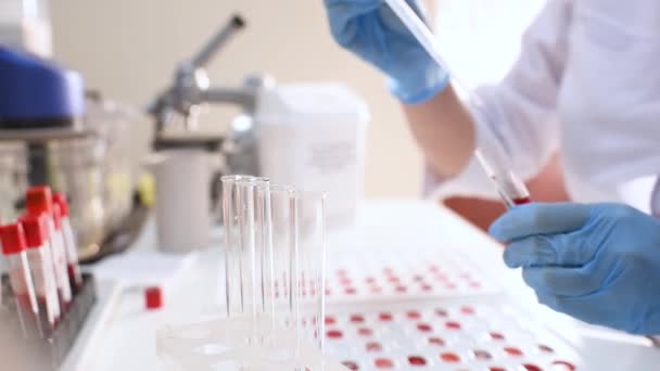 Дослідник бактеріологічної або генетичної лабораторії в гумових рукавичках робить аналіз крові — стокове відео