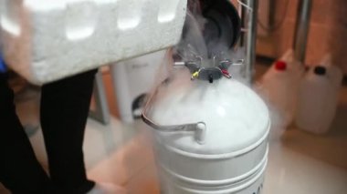 Modern bir tüp bebek kliniğinde dondurulmuş embriyoları ve yumurtaları olan sıvı nitrojeni olan bir savaş gemisi. Üreme ilacı, tüp bebek.