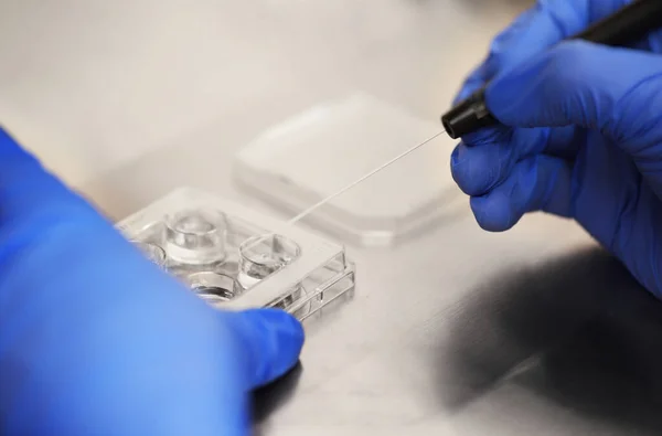 Процесс искусственного оплодотворения яйцеклетки в клинике ЭКО. — стоковое фото