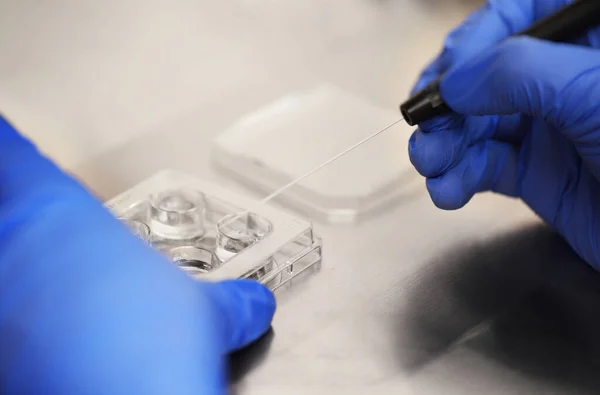 Proceso de inseminación artificial de un óvulo en una clínica de FIV. — Foto de Stock