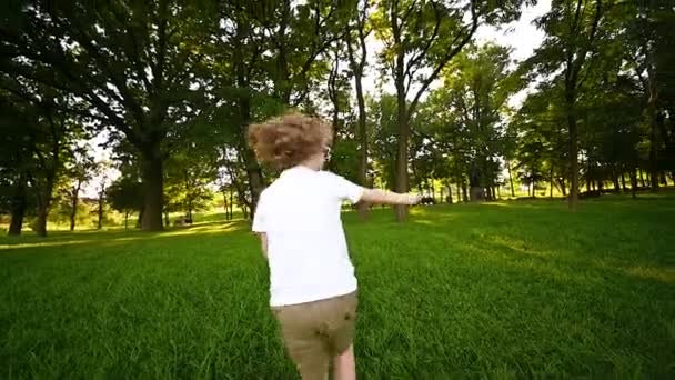 Bambino in occhiali con capelli ricci soffiando bolle di sapone e in esecuzione sullo sfondo di erba verde e parco. — Video Stock