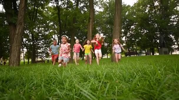 Egy csapat óvodás rohangál a füvön a park és a növényzet hátterében. — Stock videók