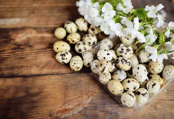 Перепелині яйця крупним планом на дерев'яному столі на тлі квітучої гілки . — стокове фото
