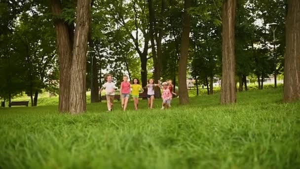 Un grupo de niños en edad preescolar corriendo sobre la hierba contra el fondo del parque y la vegetación. — Vídeo de stock