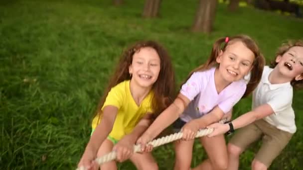 Group of preschool children - boys and girls compete in a tug of war against the background of a park and greenery. — Stock Video