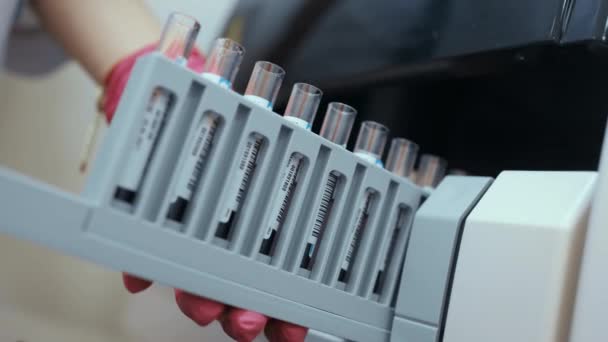 Un científico en un laboratorio coloca tubos de ensayo con sangre u orina en el recipiente de un analizador térmico — Vídeo de stock