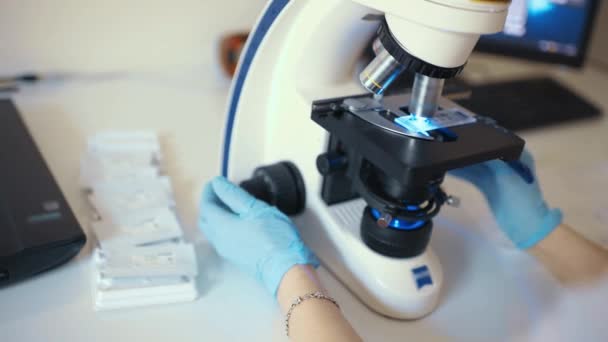 Un médico o científico examina las bacterias en un microscopio — Vídeos de Stock