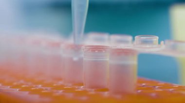 Plastik eldivenli bir PCR laboratuvar çalışanının elleri. Elinde bir şeker kutusuyla bir virüs ya da aşı içeren sıvılar döküyor..