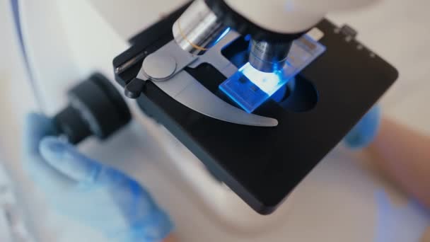 Лікар або вчений вивчає бактерії в мікроскопі — стокове відео