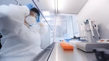 Kadın bilim adamı modern bir kimya ve bakteri laboratuvarında PCR DNA testleri yapıyor..