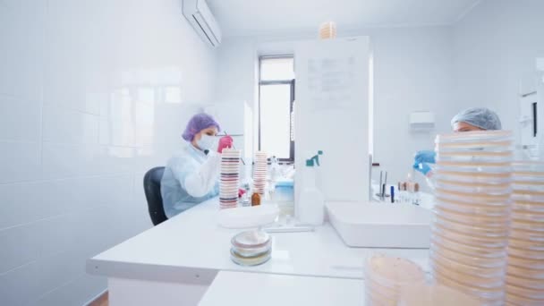 Groep wetenschappers doet analyses en tests in een modern bacteriologisch laboratorium tegen de achtergrond van apparatuur en petrischalen — Stockvideo