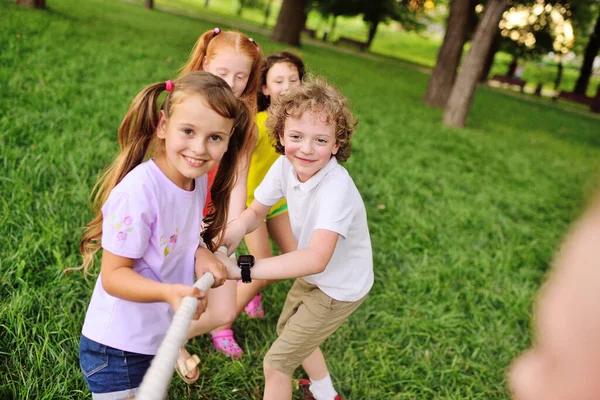 Bir grup çocuk açık havada çimenlerin ve parkın arka planına karşı bir çekişme içinde..