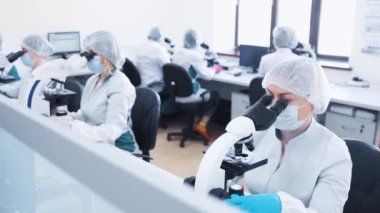 Steril maskeli büyük bir laboratuar bilim adamı grubu ya da ekibi mikroskopta oturup kan ve DNA örneklerini inceler.