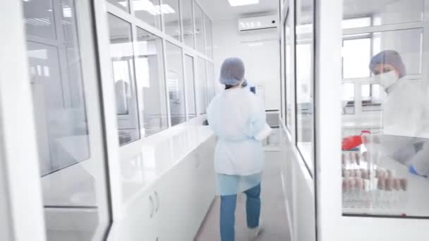 Grupo de funcionários e cientistas de um laboratório bioquímico moderno fazendo testes e análises em seus consultórios médicos — Vídeo de Stock