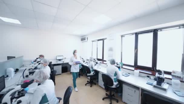 Kelompok besar atau tim peneliti laboratorium duduk di mikroskop dan memeriksa darah dan sampel DNA pada analis imunokimia — Stok Video