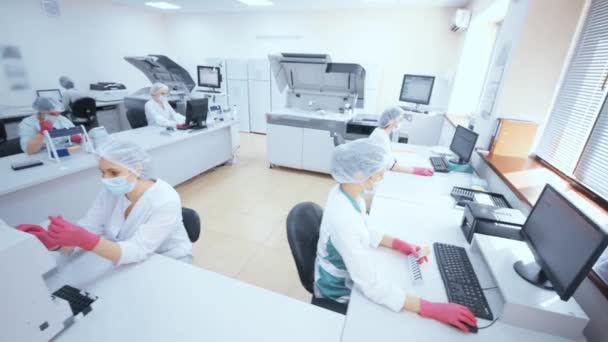 Group of scientists from a modern clinic or laboratory are examining test samples sitting at computers and working on modern biochemical immunological analyzers. — 비디오