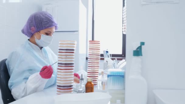 Grupa Naukowców Wykonujących Analizy Testy Nowoczesnym Laboratorium Bakteriologicznym Tle Urządzeń — Wideo stockowe