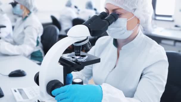 Large Group Team Laboratory Scientists Sterile Masks Sit Microscopes Examine — Video Stock