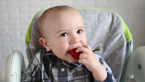 Хлопчик сидить на дитячому кріслі, їсть полуницю — стокове відео