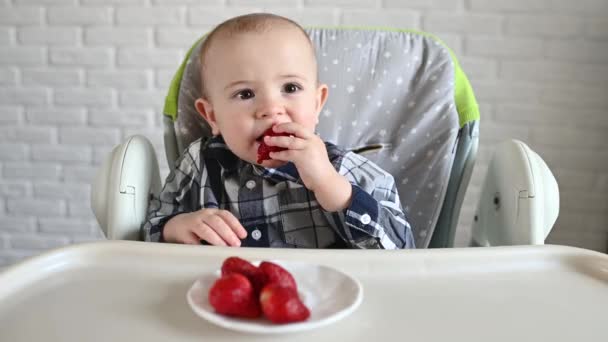 Baby Boy Sitting Baby Highchair Eating Strawberries Smiling — Stock Video