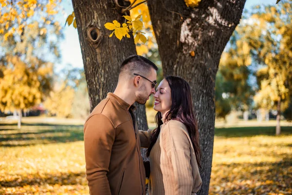 Amor Outono Jovem Casal Feliz Livre Belo Dia Outono Floresta — Fotografia de Stock