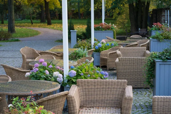 Cozy cafe terrace in autumn park: comfortable wicker furniture on patio. Garden restaurant in nature
