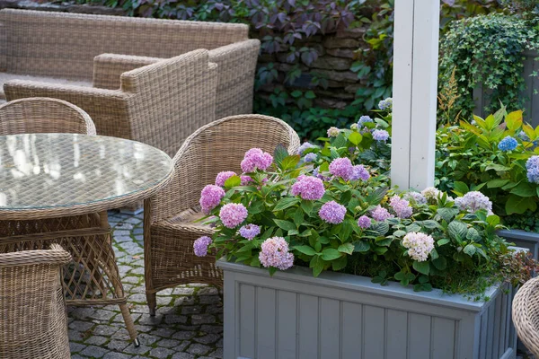 Pase la noche en la terraza: cafetería jardín o restaurante con sillas de mimbre de madera y hortensias florecientes — Foto de Stock