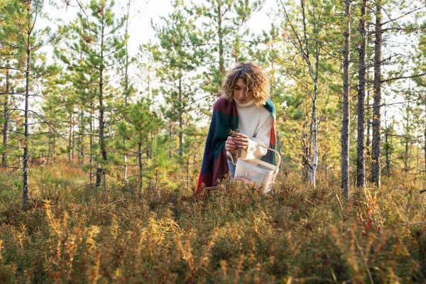Молодая женщина собирает ягоды на осеннем болоте, держа в руках ветку дикого ядовитого розмарина. Осенний сезон — стоковое фото