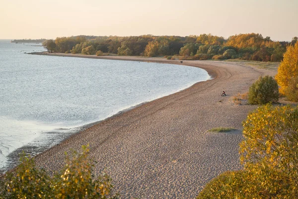 Na costa do lago. Floresta costeira de outono ao longo da praia de areia do Mar Báltico ao pôr do sol. Drone foto. — Fotografia de Stock