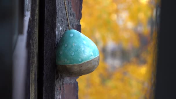 Handmade ceramic bird feeder hanging on brick wall outside the window, tits fly to feeder for food — Stock videók