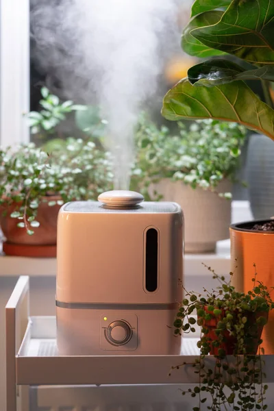 Steam from humidifier, moistens dry air surrounded by indoor houseplants. Home garden, plant care — Stock Photo, Image