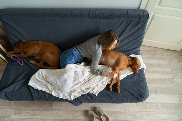 Caring woman touch healed paw of sleeping dog. Owner take care of pet after treatment in vet clinic — Stock Photo, Image