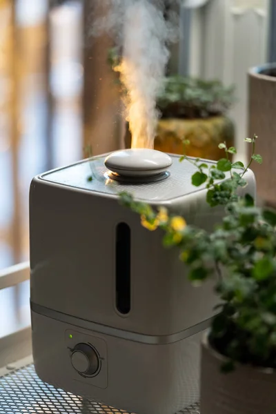 O vapor do umidificador, umedece o ar seco rodeado por plantas de sala interiores. Home jardim, planta cuidado — Fotografia de Stock