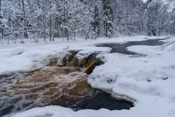 Nicht zufrierender Fluss im verschneiten Wald an einem trüben kalten Wintertag — Stockfoto