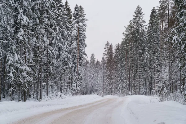 Camino del bosque de invierno con árboles de coníferas altos y cubiertos de nieve a lo largo de la ruta en Noruega — Foto de Stock