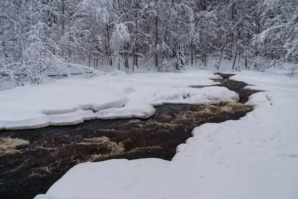 Der reißende Fluss mit geschmolzenem Gebirgswasser spült eisige Ufer des schneebedeckten Nadelwaldes — Stockfoto