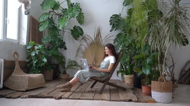 Female home plants store owner work on laptop in indoor garden managing e-commerce shop remotely — Stock Video