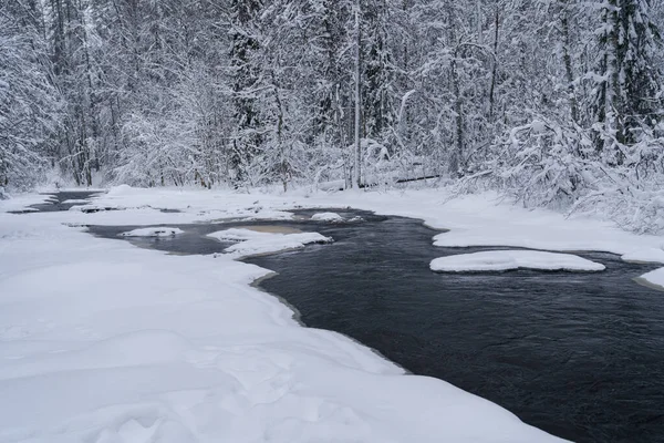 Non-freezing running river in snowy forest on gloomy cold winter day — Stock Photo, Image