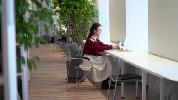 図書館の韓国人女子学生がノートパソコンで大学授業の宿題のタイプエッセイを勉強 — ストック動画