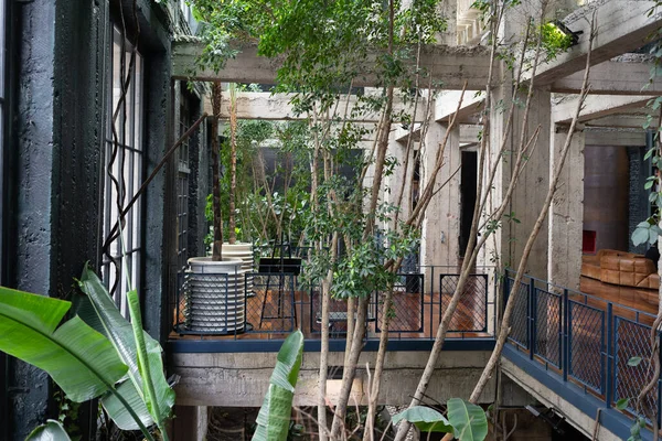 Loft interior del vestíbulo del hotel con jardín de invierno, plantas tropicales. Amantes de plantas. Ecológico. —  Fotos de Stock