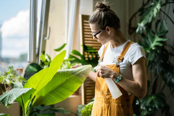 Mujer Jardinero Mono Naranja Rociando Plátano Palmera Planta Interior Hidrata —  Fotos de Stock