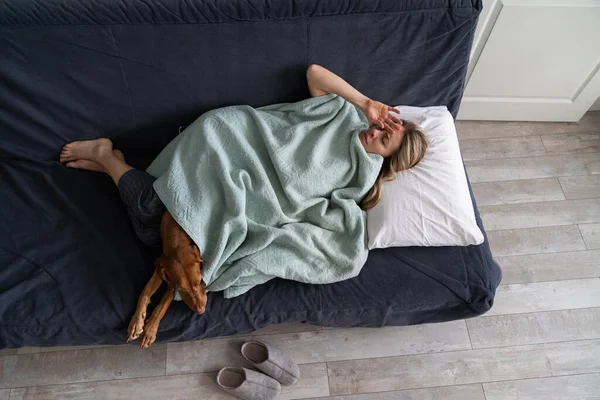 Beteg Otthon Feküdt Ágyban Vizsla Kutyával Fejfájásban Influenzás Tünetekkel Pléddel — Stock Fotó