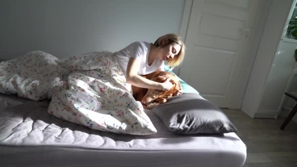 Middle Aged Woman Pet Owner Playing Beloved Dog Bed Single — Vídeo de Stock