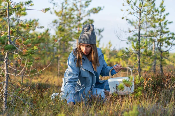 Seasonal Berries Picking Young Woman Hipster Hat Swamp Searching Ripe — Fotografia de Stock