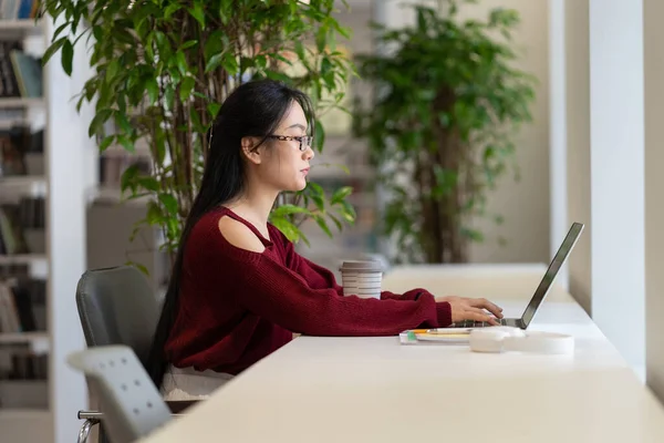 Focused Young Asian Student Girl Studying Use Laptop Public Library — Fotografia de Stock