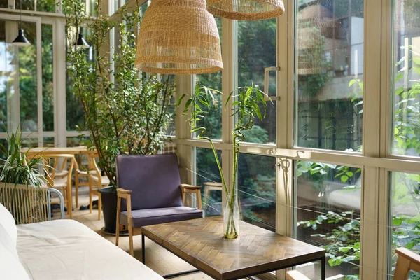 Urban Jungle Interior Fully Furnished Decorated Apartment Green Plants Natural — Photo