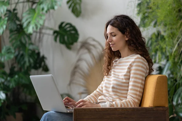 Freelancer Woman Sitting Armchair Green House Working Laptop Surrounded Houseplant — Zdjęcie stockowe