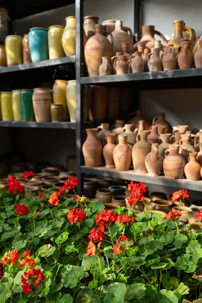 Flower Shop Big Variety Handmade Works Fresh Organic Plants Prepared — Fotografia de Stock